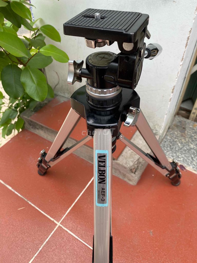 Chân máy ảnh Velbon AEF-3 made in Japan. Mua bán Máy ảnh, Máy quay tại Quận Gò Vấp Tp Hồ Chí Minh được đăng bởi Toàn Nhật hình 5