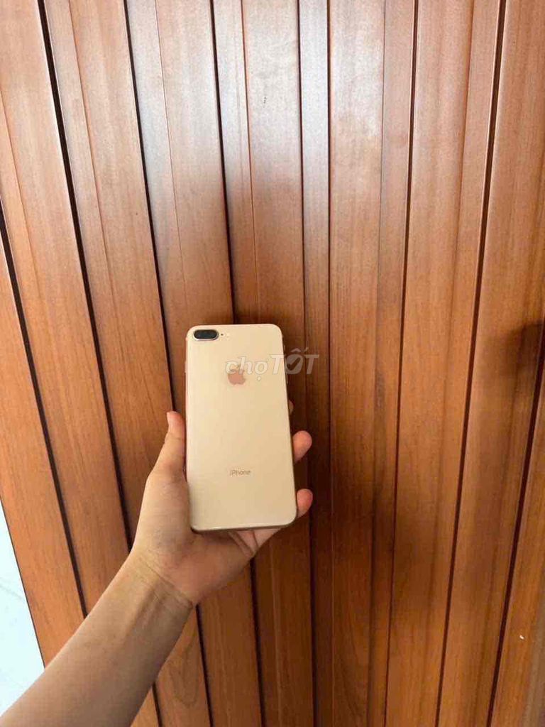 iphone 8plus 64G gold - zin đẹp. Mua bán Điện thoại tại Thành phố Buôn Ma Thuột Đắk Lắk được đăng bởi phuong smarphone hình 1