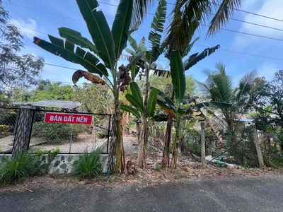 ĐẤT NỀN CLN 600m2 PHƯỜNG VỊ THANH (thành phố vị thanh hậu giang củ)