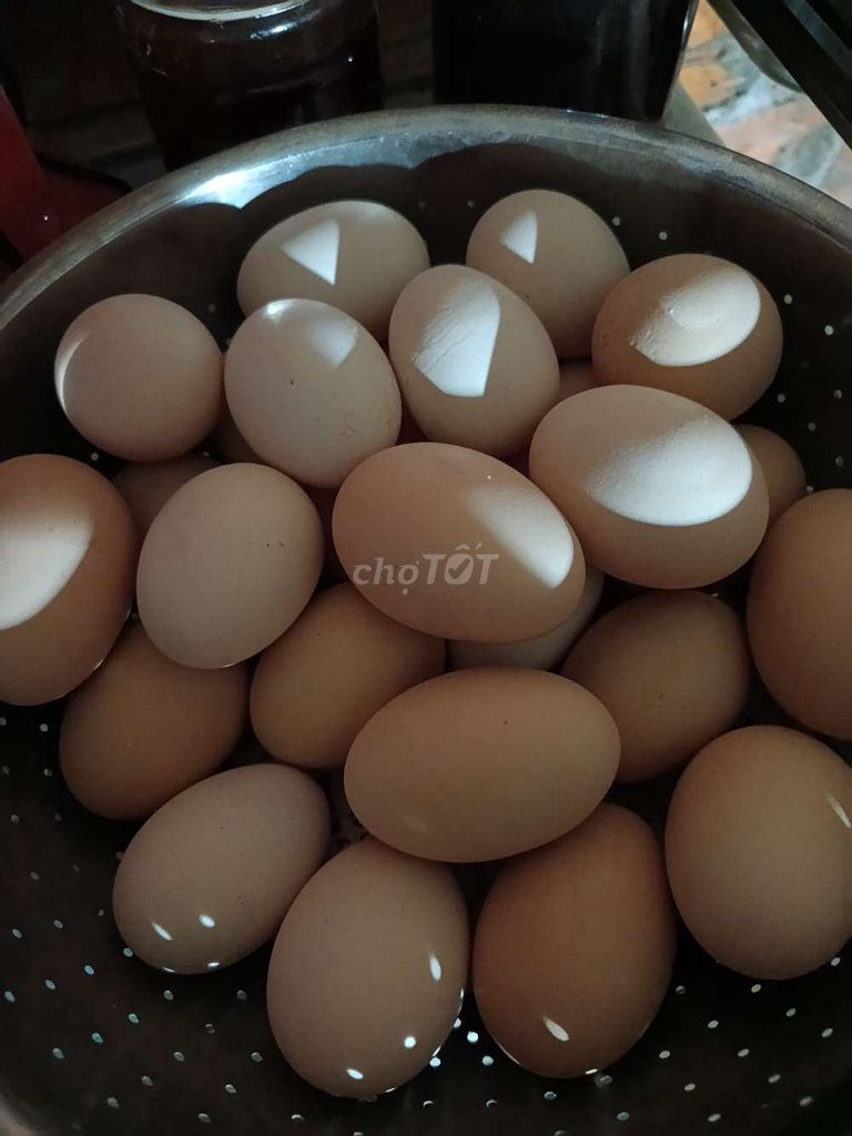 Trứng gà nuôi thả vườn. Mua bán Đồ ăn, thực phẩm và các loại khác tại Thành phố Buôn Ma Thuột Đắk Lắk được đăng bởi Thu hình 1