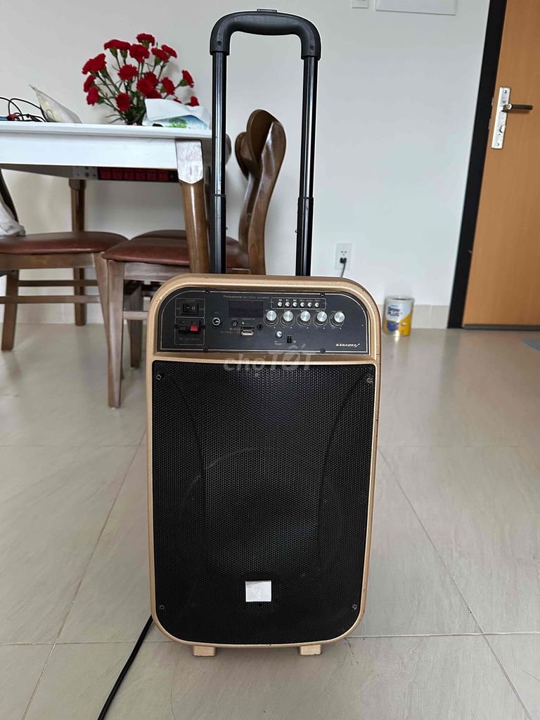 Loa kéo AURORA Vàng đồng. Mua bán Tivi, Âm thanh tại Thành phố Qui Nhơn Bình Định được đăng bởi châm hình 1