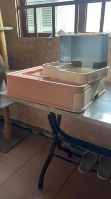 Nhà vệ sinh mèo nhựa. Mua bán Phụ kiện, Thức ăn, Dịch vụ tại Huyện Củ Chi Tp Hồ Chí Minh được đăng bởi Lê Chi