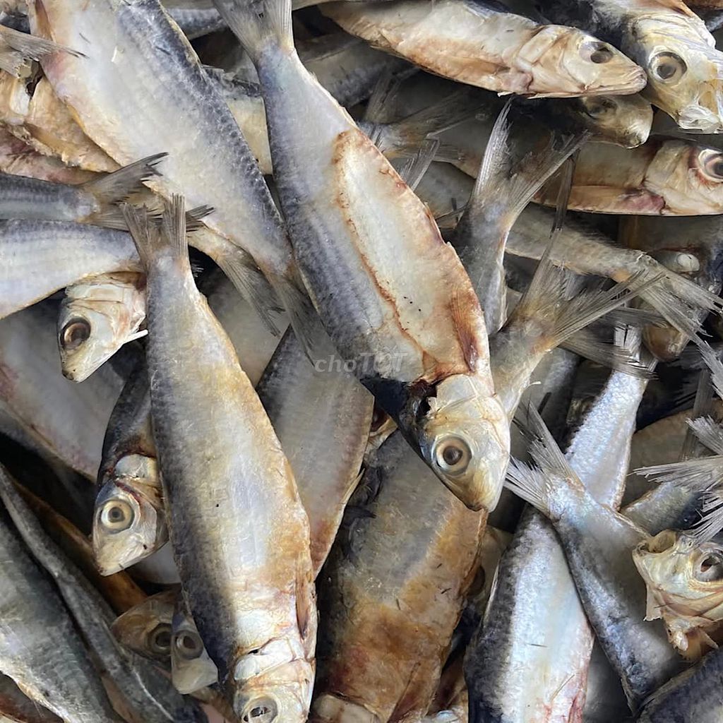 Khô cá trích nguyên con. Mua bán Đồ ăn, thực phẩm và các loại khác tại Thành phố Phan Thiết Bình Thuận được đăng bởi Lộc Hải Sản Phú Quý hình 1