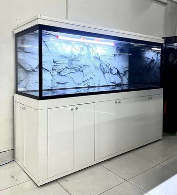 Nhận thu Cá Rồng - Hổ -Sam -ngân abino. Mua bán Thú cưng khác tại Huyện Hóc Môn Tp Hồ Chí Minh được đăng bởi Phan Đình Nguyên