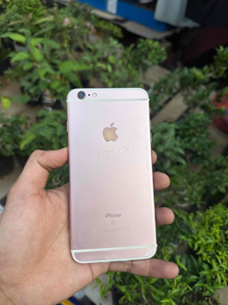 Apple iPhone 6S Plus 32GB. Mua bán Điện thoại tại Thành phố Thủ Đức Tp Hồ Chí Minh được đăng bởi Cửa Hàng Điện Thoại Nhân Nghĩa hình 1