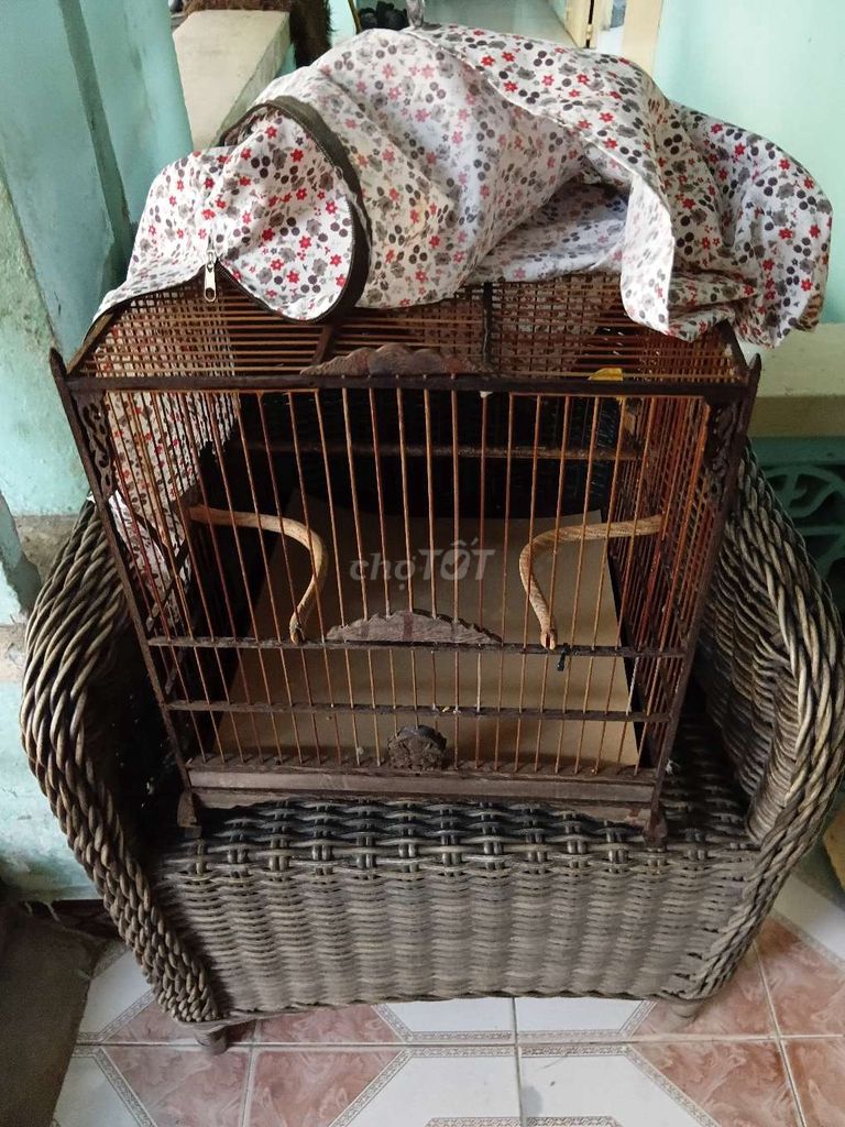 Lồng chim Gỗ Mây màu Nâu. Mua bán Phụ kiện, Thức ăn, Dịch vụ tại Huyện Hóc Môn Tp Hồ Chí Minh được đăng bởi ShunShin hình 1
