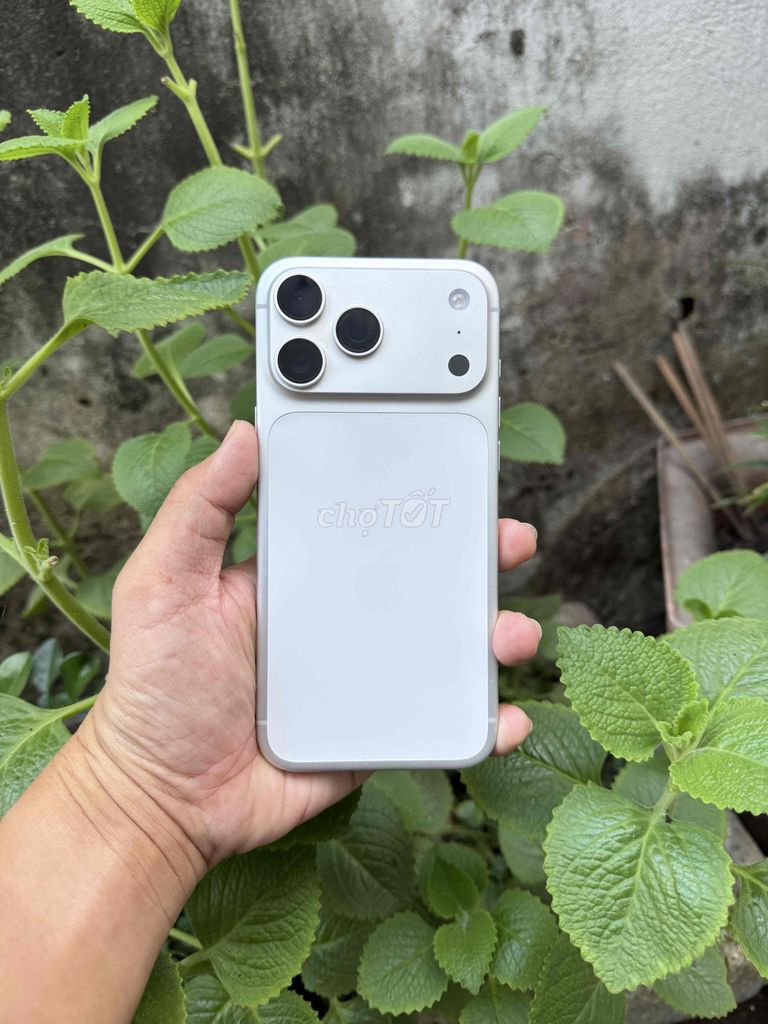 Apple iPhone 17 Promax 256GB Bạc Nguyên zin. Mua bán Điện thoại tại Quận Gò Vấp Tp Hồ Chí Minh được đăng bởi Bin Bin hình 1