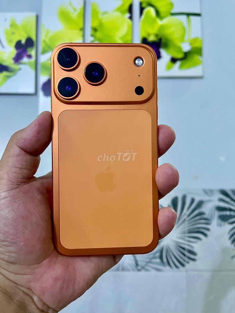 iPhone 11 lên vỏ 17 Pro Đẹp Keng Nét . Full CN. Mua bán Điện thoại tại Thành phố Thủ Dầu Một Bình Dương được đăng bởi Đăng Store hình 1