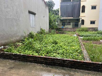 CẮT LỖ LÔ ĐẤT TRUNG TÂM HÀNH CHÍNH MÊ LINH,MỞ CỬA TỚI CHỢ !Chỉ 2.4 TỶ. Mua bán đất tại Huyện Mê Linh Hà Nội được đăng bởi Quốc Hùng