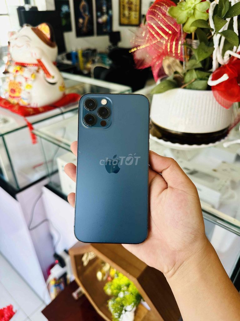 Apple iPhone 12 Pro 128GB Xanh Đã sử dụng. Mua bán Điện thoại tại Thị xã Phú Mỹ Bà Rịa - Vũng Tàu được đăng bởi Bi Táo hình 1