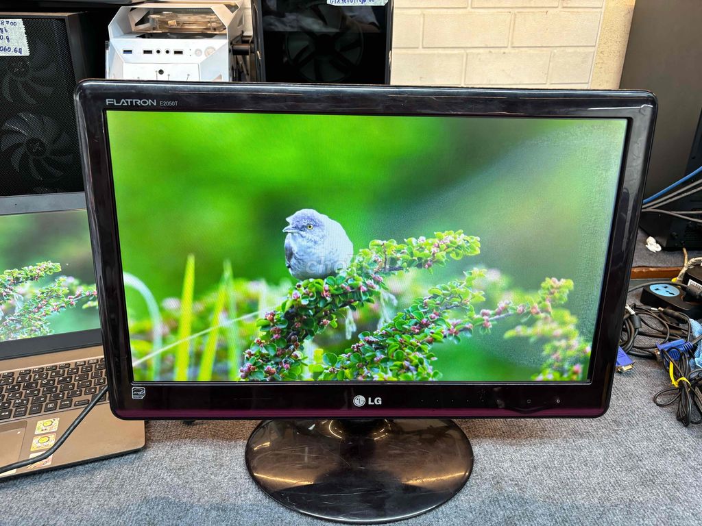 🖥️Màn hình LG 20” dùng tạm okela