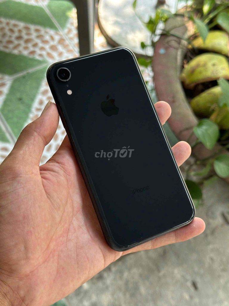 Apple iPhone Xr 128GB Đen 98% - Pin thay 94 - Qte. Mua bán Điện thoại tại Quận Ninh Kiều Cần Thơ được đăng bởi NP Store hình 1