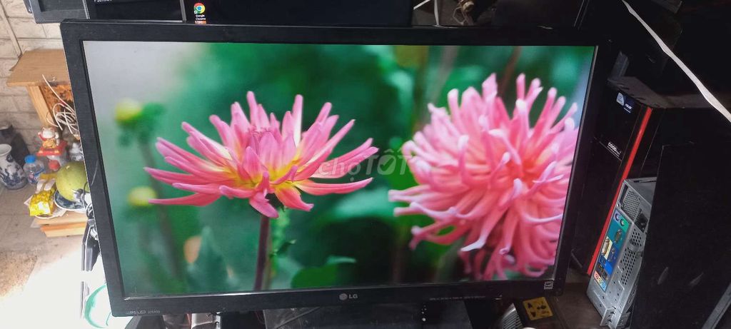 Màn hình LG 27EN33 IPS LED 27 inch. Mua bán Phụ kiện (Màn hình, Chuột...) tại Quận Hoàng Mai Hà Nội được đăng bởi SHOP Dung lovoi  hình 1
