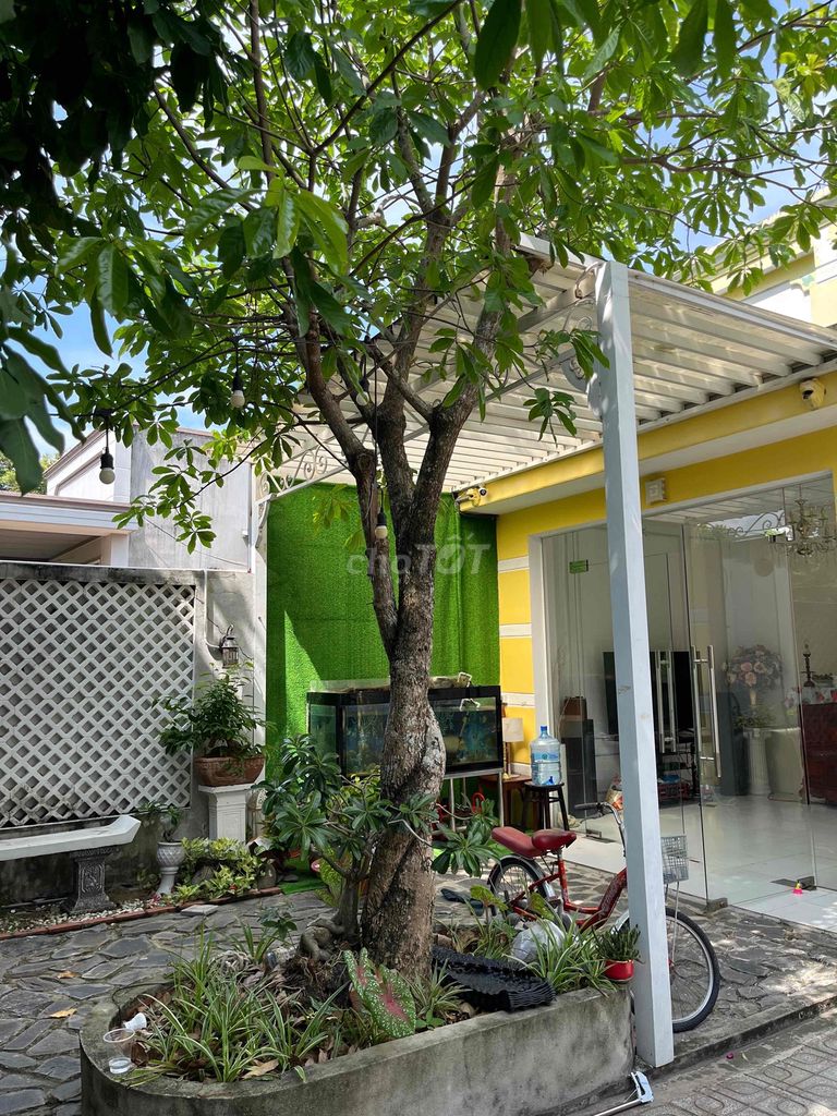 Cây Lộc Vừng. Mua bán Cây cảnh, đồ trang trí tại Huyện Hòa Thành Tây Ninh được đăng bởi Lộc hình 1