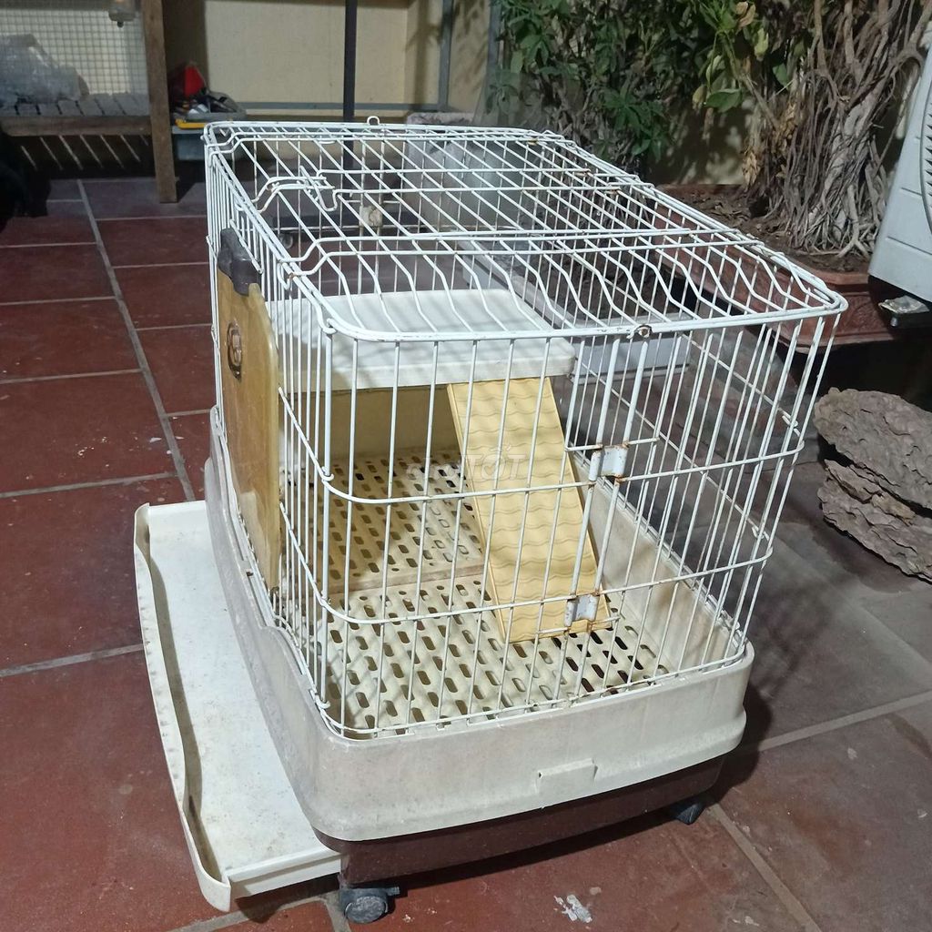 Chuồng thú cưng Kim loại Nhựa 65x45x60cm. Mua bán Phụ kiện, Thức ăn, Dịch vụ tại Huyện Đan Phượng Hà Nội được đăng bởi Mr Thang hình 1