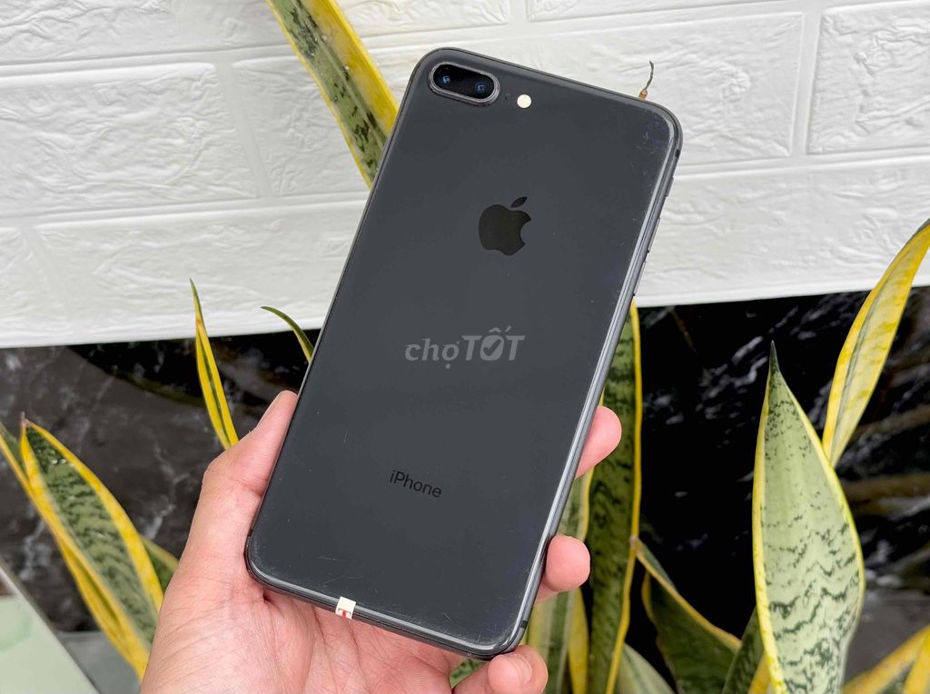 iPhone 8 Plus 64GB Quốc Tế, Bao Zin 100% - Pin New