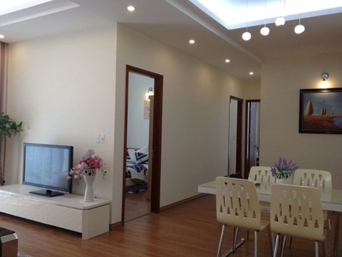 Cho thuê căn hộ 2PN, Tân Phú, full nội thất