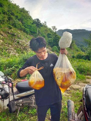 em cần bán hộ bạn em mật ong rừng nguyên chất130kg. Mua bán Đồ ăn, thực phẩm và các loại khác tại Quận Nam Từ Liêm Hà Nội được đăng bởi Thứ Lucky