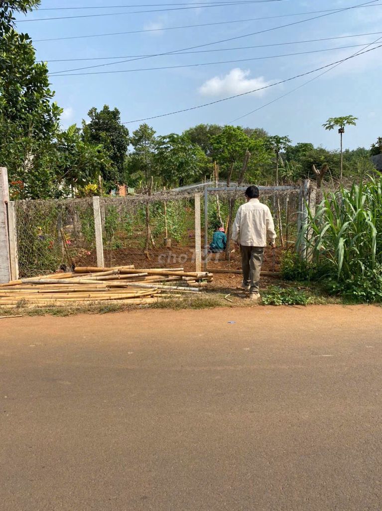 Cần bán đất long phước thành phố bà rịa. Mua bán Đất tại Thành phố Bà Rịa Bà Rịa - Vũng Tàu được đăng bởi Người Thanh Chi hình 3