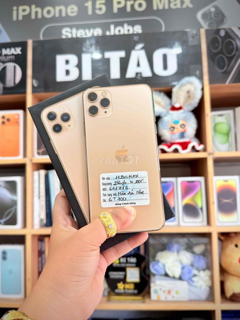 Apple iPhone 11 Pro Max 256GB (Ám Nhẹ Xíu Xiu). Mua bán Điện thoại tại Thành phố Long Xuyên An Giang được đăng bởi Bi Táo Store hình 1