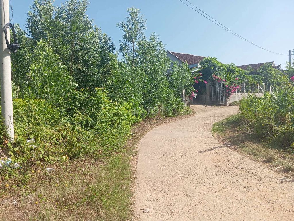 Bán đất mặt tiền xóm đá ong Bán đất mặt tiền xóm đá ong