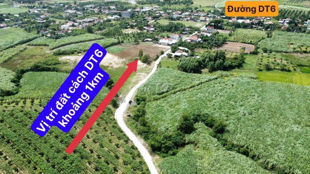ĐẤT NINH THƯỢNG – NINH HÒA – 600M² CHỈ 180 TRIỆU