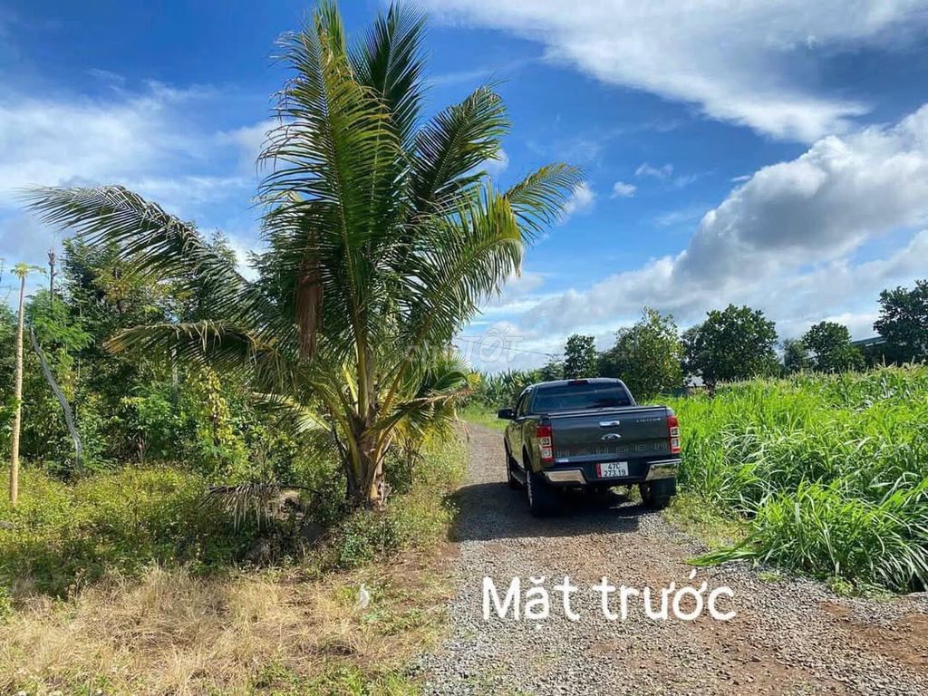 Cần bán lô đất vườn khu dân cư hiện hữu , đất thành phố , gần chợ. Mua bán Đất tại Thành phố Buôn Ma Thuột Đắk Lắk được đăng bởi Lê văn Chiến hình 7