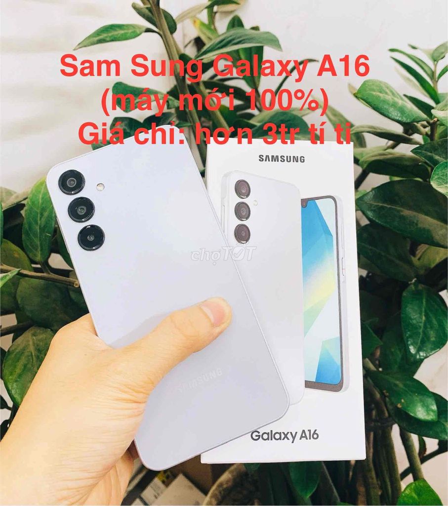 Samsung Galaxy A16 128GB Mới 100%. Mua bán Điện thoại tại Huyện Thường Tín Hà Nội được đăng bởi thành hình 1