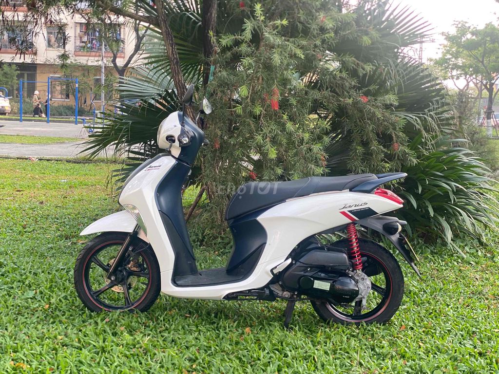 Yamaha Janus Trắng, Xám Khóa Smartkey