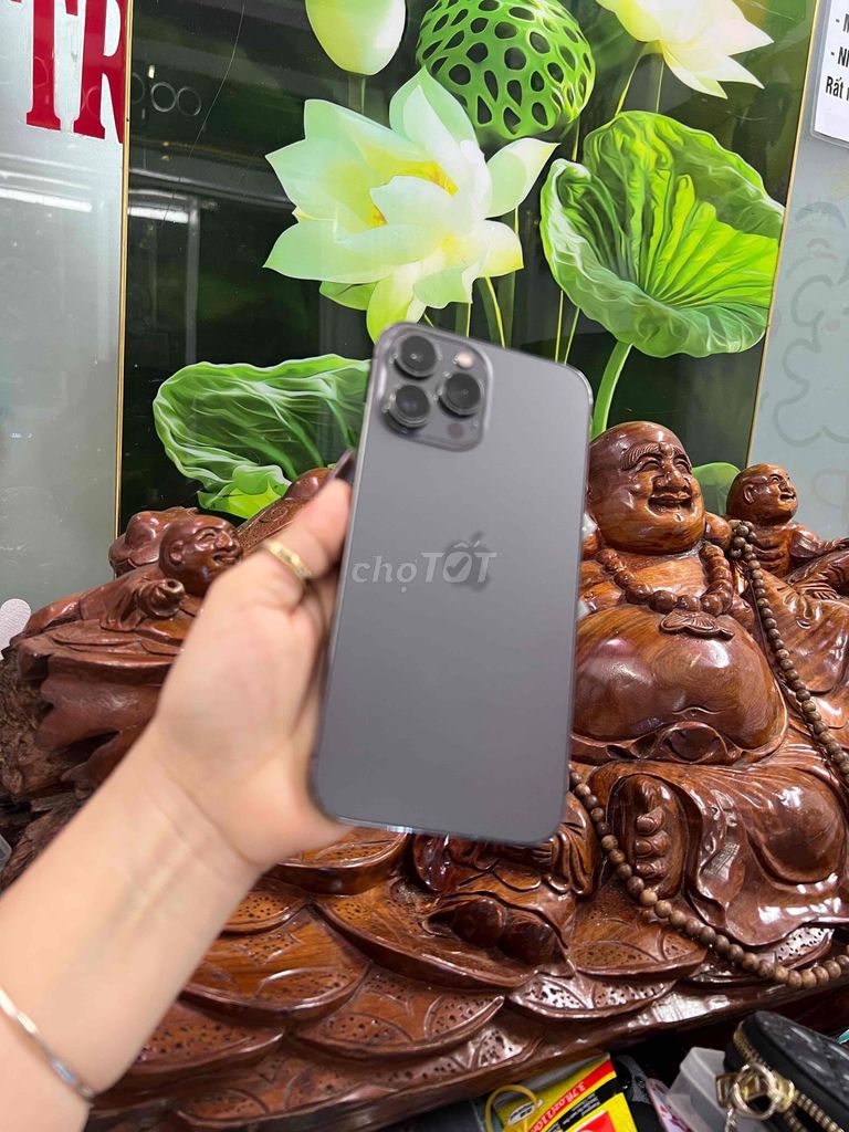 GÓP NỢ XẤU KO CÀI ICLOUD 13PMAX 128GB MÁY 99%. Mua bán Điện thoại tại Quận Tân Phú Tp Hồ Chí Minh được đăng bởi MỸ MỸ MUA BÁN VÀ TRAO Đổi          hình 2