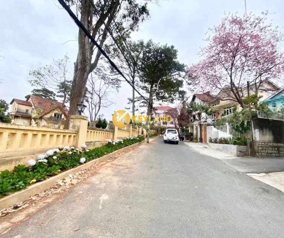 Biệt Thự tại Cô Giang 222m2, 21 tỷ với vị trí yên tĩnh, dân trí cao.. Mua bán nhà ở tại Thành phố Đà Lạt Lâm Đồng được đăng bởi Đinh Xuân Minh hình 1