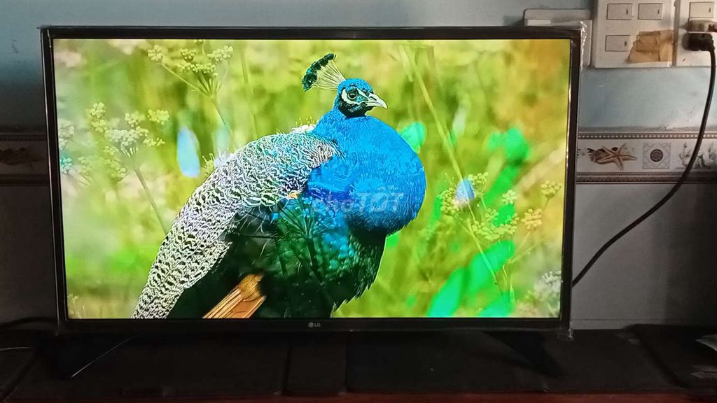 Tiv smart LG32IN wifi YouTube chạy nhanh sáng đẹp. Mua bán Tivi, Âm thanh tại Huyện Bình Chánh Tp Hồ Chí Minh được đăng bởi Thành lý hàng cũ  hình 1