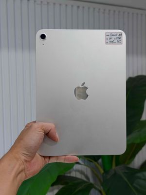 iCleanShop: ipad Mini,Gen,Air, Pro đủ loại.
