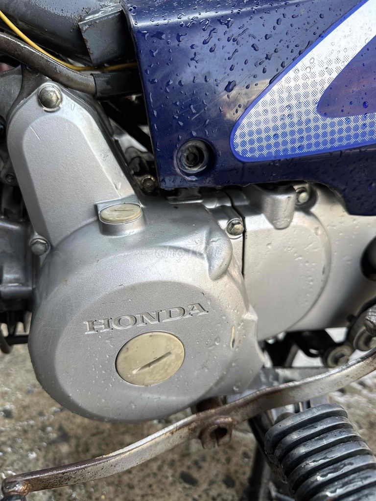 Honda Wave Alpha 2004 Xanh. Mua bán Xe máy tại Huyện Hóc Môn Tp Hồ Chí Minh được đăng bởi Kết ròm hình 14