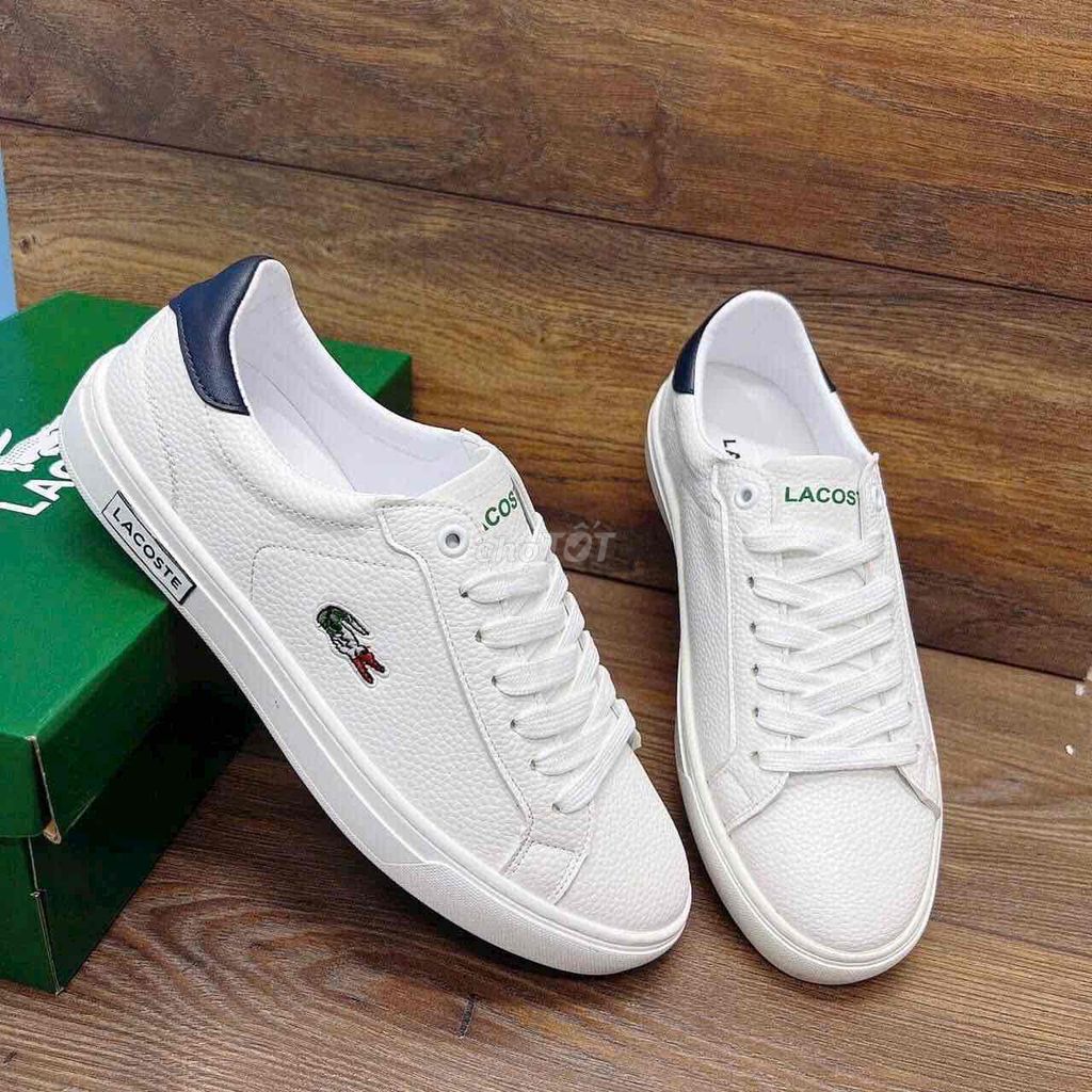 Giày ba ta Lacoste chất