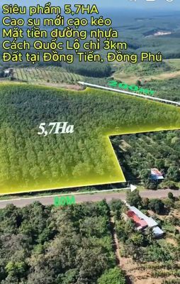 Bán 5.7ha cao su có 1000m2 thổ cư, Bình Phước