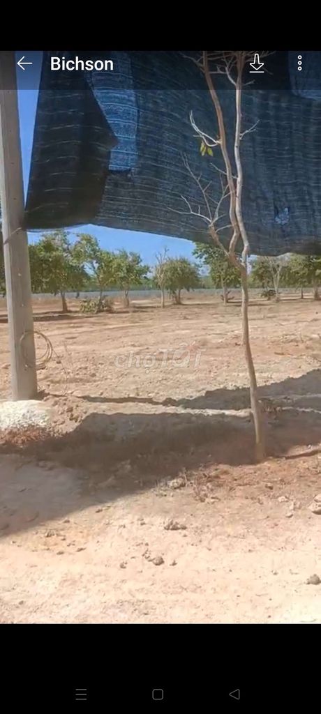 BÁN 5HA ĐẤT VƯỜN