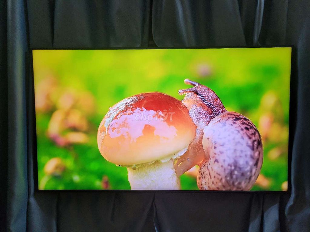 TIVI SAMSUNG 4K  50 INCH. Mua bán Tivi, Âm thanh tại Quận Cầu Giấy Hà Nội được đăng bởi DaPro hình 1