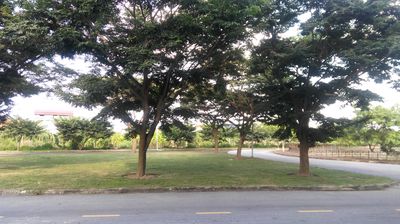 Bán nhà đẹp, thoáng mát tại thành phố Hải Dương. Mua bán nhà ở tại Thành phố Hải Dương Hải Dương được đăng bởi Tiến Vũ