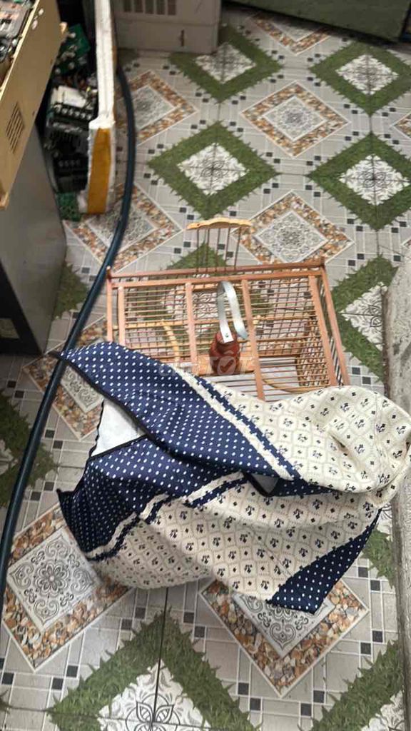 Lồng chim tre màu nâu. Mua bán Phụ kiện, Thức ăn, Dịch vụ tại Quận 12 Tp Hồ Chí Minh được đăng bởi Trí hình 1