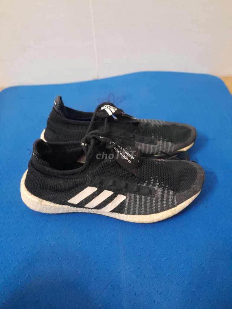 Giày adidas chính hãng size 44