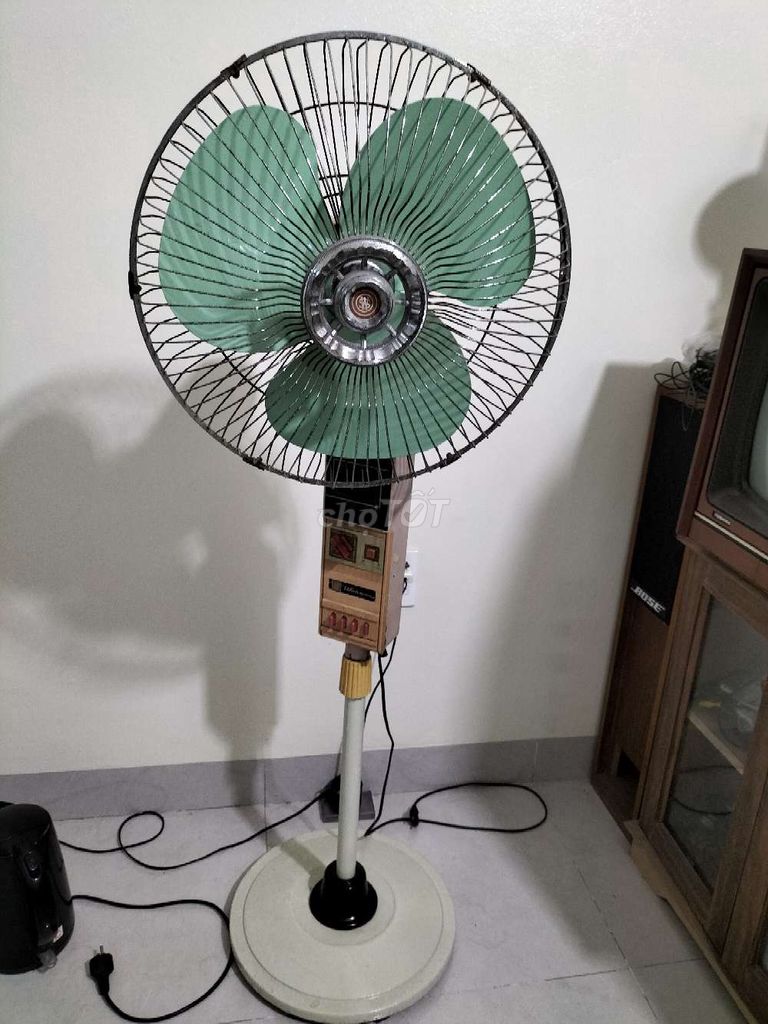 Quạt cây Watson Xanh lá, Nâu. Mua bán Quạt tại Huyện Quốc Oai Hà Nội được đăng bởi nguyen binh hình 1