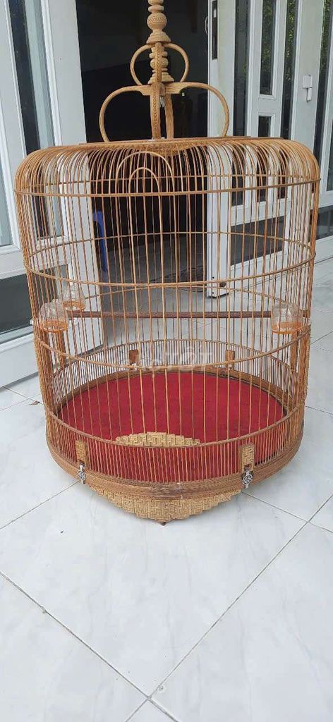 Lồng chim chích chòe tre già đã dùng. Mua bán Phụ kiện, Thức ăn, Dịch vụ tại Thị xã Phú Mỹ Bà Rịa - Vũng Tàu được đăng bởi Trung hình 1