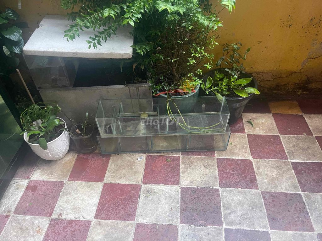 Lọ tràn Kính Trong suốt 75x16x14cm. Mua bán Nội thất, đồ gia dụng khác tại Quận 5 Tp Hồ Chí Minh được đăng bởi Nam hình 1