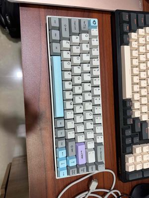 Bán bàm phím cơ bluetooth Akko 3068 silent 95%. Mua bán Phụ kiện (Màn hình, Chuột...) tại Thành phố Nha Trang Khánh Hòa được đăng bởi Mc Ray