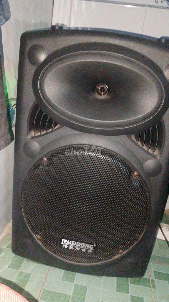 Loa kéo TEMEISHENG Đen. Mua bán Tivi, Âm thanh tại Thành phố Thủ Dầu Một Bình Dương được đăng bởi khang phạm  hình 1