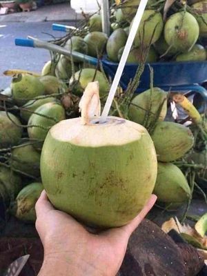 Bán dừa. Mua bán Đồ ăn, thực phẩm và các loại khác tại Huyện Gia Lâm Hà Nội được đăng bởi Duy