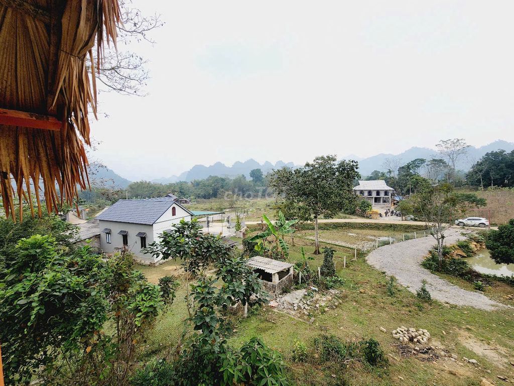 MUA ĐẤT TẶNG NHÀ SÀN GỖ QUÝ TẠI TÂN LẠC. Mua bán đất tại Huyện Tân Lạc Hòa Bình được đăng bởi Đoàn Thị Chinh hình 3