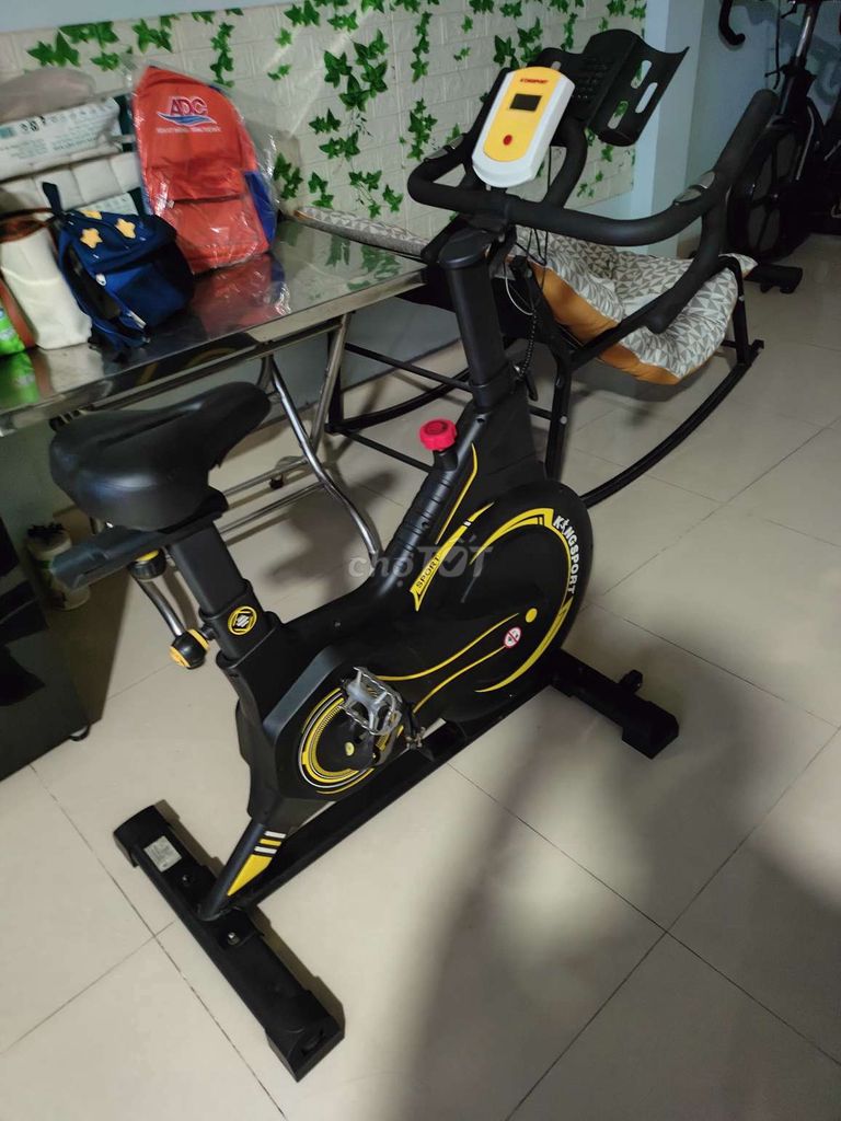Xe đạp tập thể dục Kingsport Đen, vàng
