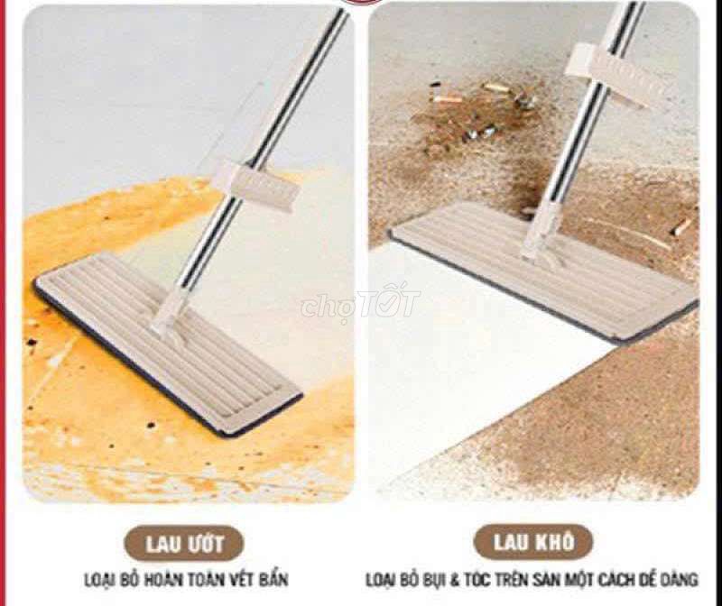 Cây lau tự vắt. Mua bán Nội thất, đồ gia dụng khác tại Quận Ninh Kiều Cần Thơ được đăng bởi Thuy Duong hình 1